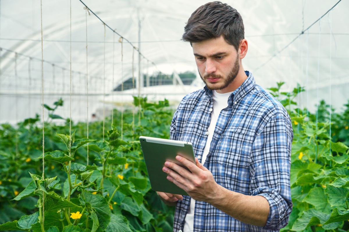 Ventilation engineer in grow house