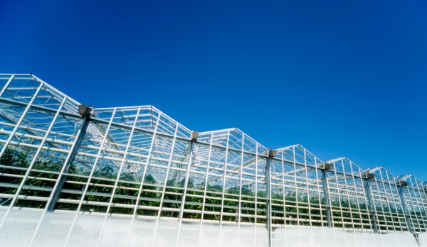 Exterior view of glass green house